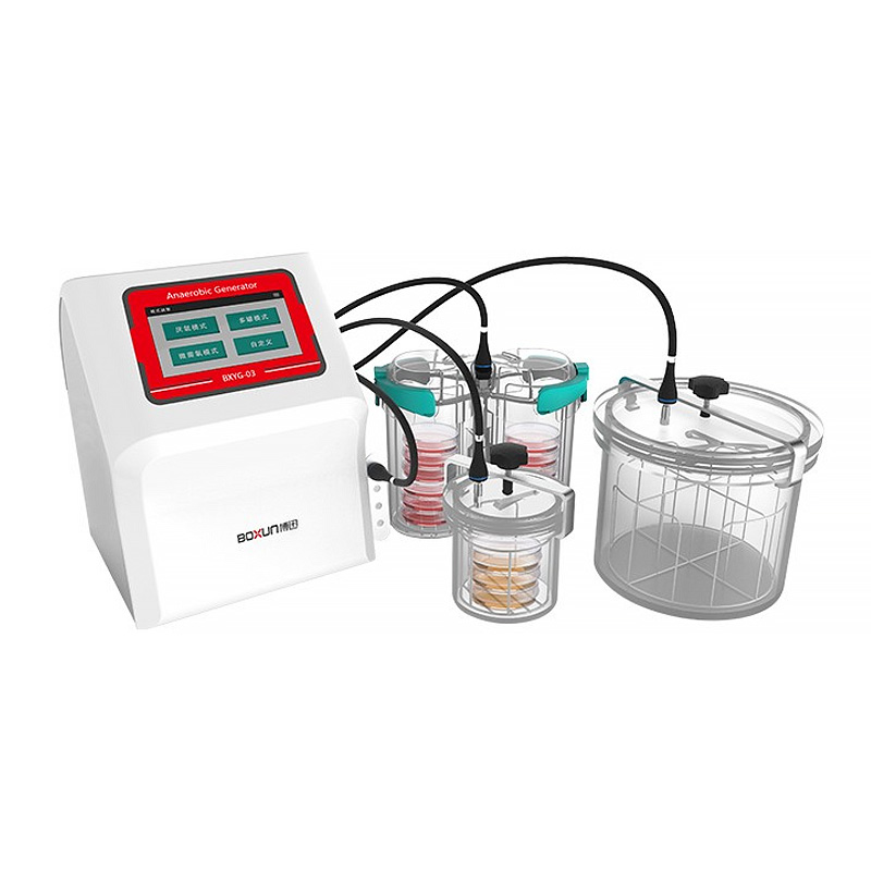上海博迅BXYG-04厭氧培養(yǎng)系統(tǒng)
